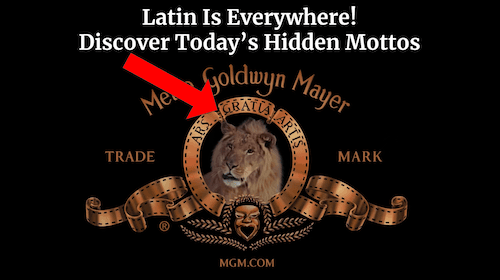 Latin Mottos Everywhere!