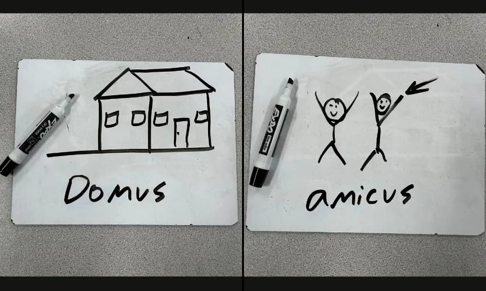 Two mini-whiteboards/slates for the classroom. The one on the left has a drawing of a house with the Latin word Domus. The one on the right has a drawing of two stick figures labelled with the Latin word for friend: amicus.