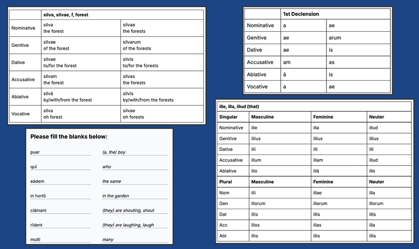 Four types of test items.